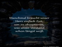 Herz gegen Verstand: Das ewige Duell