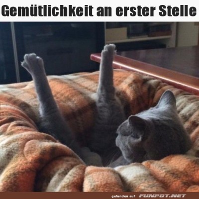 Gem&uuml;tlichkeit-ist-wichtig.jpg von Lucie37