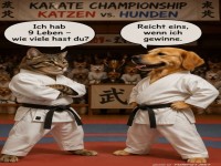 Der ultimative Katzen-Hunde-Karate-Showdown!