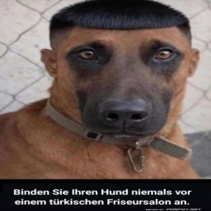Vorsicht-vor-dem-Friseursalon!.jpg von Matilda