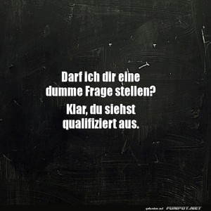 Qualifiziert-f�r-dumme-Fragen!.jpg von Gabriel