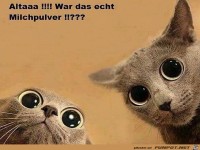 ...war das echt Milchpulver?