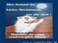 Hier kommt die kleine Nachtmusik