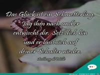 das Glck ist ein Schmetterling.....