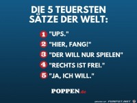 Die 5 teuersten S�tze
