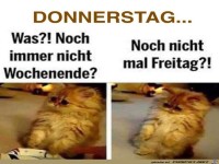 Erst Donnerstag