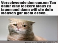 Dieses Desinteresse macht mich krank