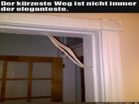 Der k�rzeste Weg
