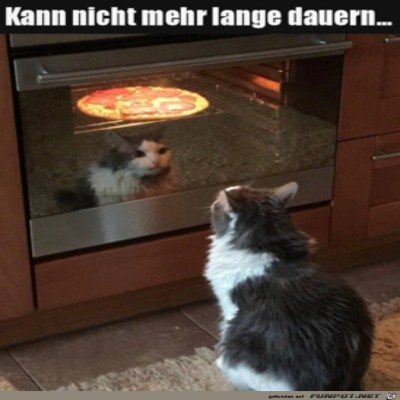 Pizza-ist-bald-fertig.jpg von Ida