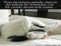 Wo kommen blo� die R�ckenschmerzen her?