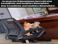 Eine wirklich freundliche Atmosph�re