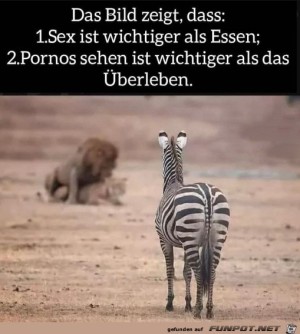Lustige-Szene.jpg auf www.funpot.net