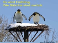 Der Fr�hling kommt....