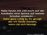 Spinne auf der Schulter