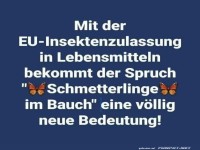 Schmetterlinge im Bauch