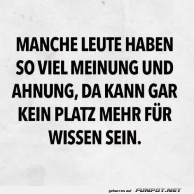 Kein-Platz-mehr-für-Wissen.jpg von Christina