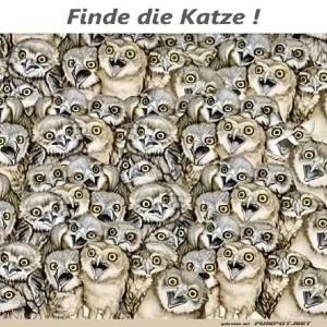 fun-Bild: Kannst du die Katze im Bild entdecken?