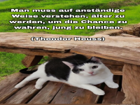 man muss auf anstndige weise