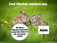 Zwei Hschen planen die groe Reise