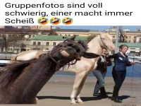 Lustiges Pferd auf einem Gruppenfoto