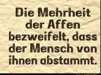 Zweifel der Affen an menschlicher Abstammung