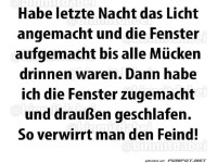 M�cken verwirren: Der n�chtliche Trick