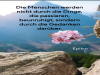 weiter