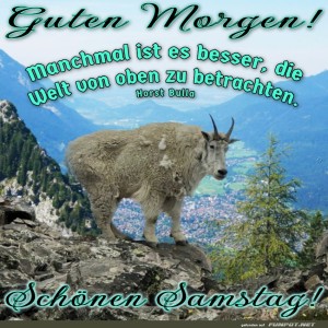 Bergziege-im-Hhenrausch:-Gute-Aussicht-garantiert!.jpg von Justin