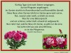 weiter