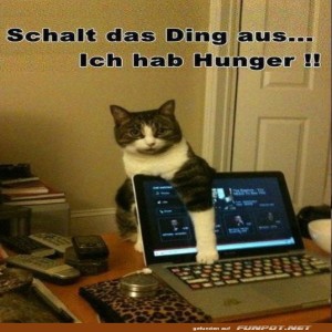Katzenprotest:-Laptopverbot-wegen-Hunger!.jpg von Roger05