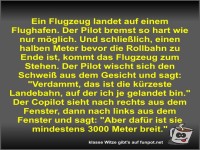 Ein Flugzeug landet auf einem Flughafen