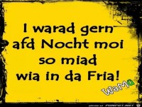 Ich wre gerne nachts so mde wir in der Frhe