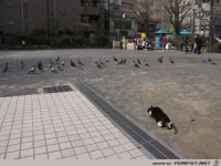 richtig ranschleichen