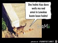 Das hab ihr jetzt davon weil ihr mich nicht einmal den Lebe