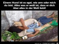 einem Hund ist es egal wie arm oder reich du bist...