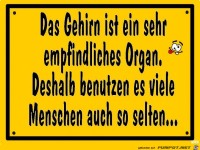 Schild Gehirn