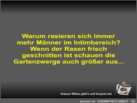 Warum rasieren sich immer mehr Männer im Intimbereich?