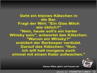 Geht ein kleines K�tzchen in die Bar