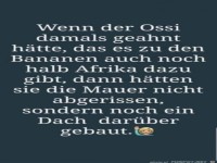 Ossi