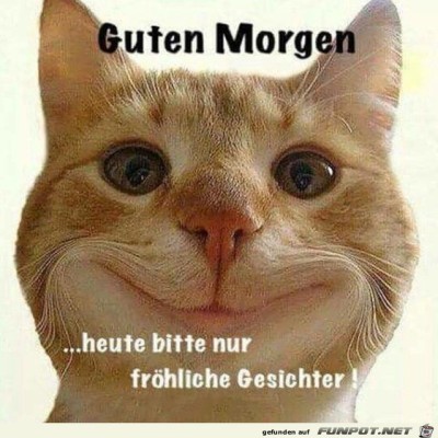 Guten-Morgen.jpg von Elena
