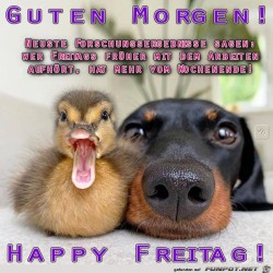 Freitag.jpg auf www.funpot.net