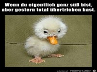Wenn du eigentlich ganz s�� bist, aber...?