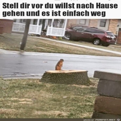 Haus-ist-weg.jpg von Harald48