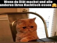Wenn du Di�t machst