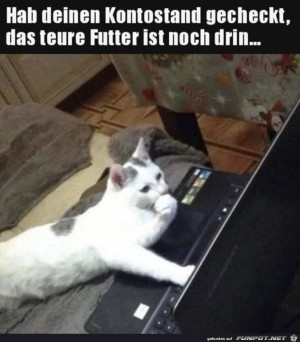 Teures-Futter-passt-ins-Budget.jpg auf www.funpot.net
