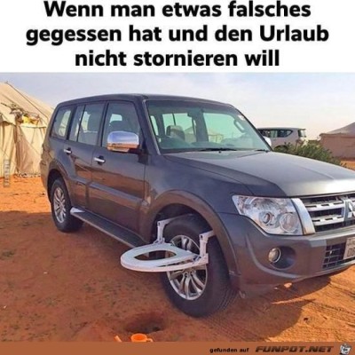 Storno.jpg von Keule56