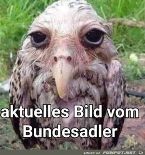Er-sieht-nicht-gut-aus.jpg auf www.funpot.net