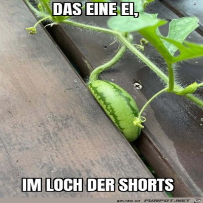 Eingequetscht.jpg von Sweetheart