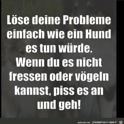 Probleme.jpg von Keule56