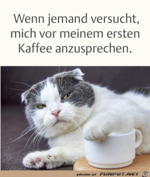 Sag-nichts.jpg auf www.funpot.net
